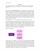 Contabilidad y Finanzas Dulce Mundo POP S.L