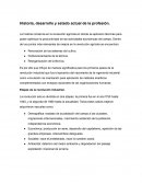 Historia, desarrollo y estado actual de la profesión