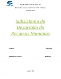 Subsistema de desarrollo de RH. Página 1