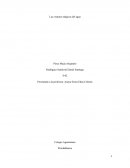 Las criaturas mágicas del agua