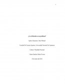 ¿La civilización es un problema?