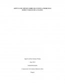 Problematicas Estructurales de la Naciòn