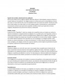 Sujeción de los indios y disminución de la población