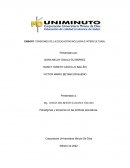 ENSAYO. TENSIONES DE LA EDUCACIÓN INCLUSIVA E INTERCULTURAL