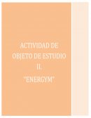 Proyecto final programacion ENERGYM