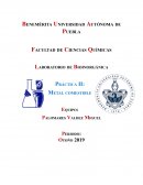 Laboratorio de Bioinorgánica