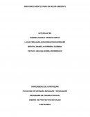 Proyecto Social con enfoque ambiental