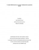 CARACTERÍSTICAS DE LA CALIDAD Y MODELOS DE CALIDAD EN SALUD