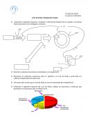 Ciclo de Krebs y Respiración Celular