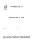 Clima organizacional de CPT 3 Curbati