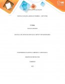 DISEÑO DE PROYECTOS