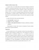 Signos vitales