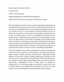 La diversidad de las organizaciones