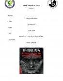 Ensayo el beso de la mujer araña