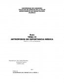 Artrópodos de importancia medica