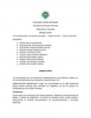 Química Analítica.Foro de Aprendizaje: Aminoácidos esenciales