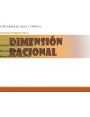 Dimensión racional