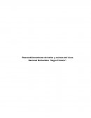 Reacondicionamiento de baños