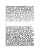 Mision, Vision y Objetivo