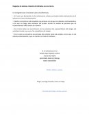 Diagrama de sistemas. Relación del individuo con el entorno