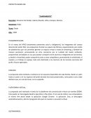 PROYECTO JARDIN 938 “CAMPAMENTO”