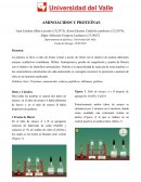 La clasificación detallada de los aminoácidos y el formato de los péptidos