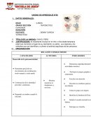 UNIDAD DE APREDIZAJE VIVA EL PERÚ