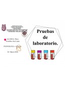 FISIOLOGÌA DEL MUSCULO