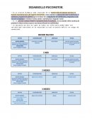 DESARROLLO PSICOMOTOR