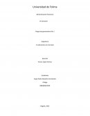 Fundamentos de mercado