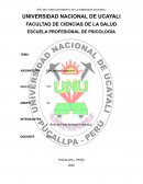 Informe Test de completamiento de frases estructuradas de Forer