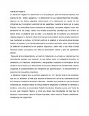 Literatura Indigena