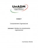 Modelos de comportamiento organizacional
