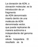 Vectores de clonación