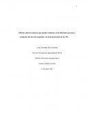 Informe sobre las mejoras que pueden realizarse en los diferentes procesos y productos del área de ocupación con la incorporación de las TIC