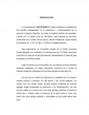 Microempresa “XOCOTEQUE´S”