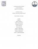 Ensayo sobre los estados financieros