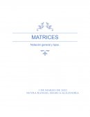 MATRICES Notación general y tipos