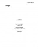 Marketing Digital Latam.com