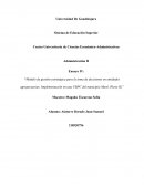 Modelo de gestión estratégica para la toma de decisiones en entidades agropecuarias. Implementación en una UBPC del municipio Martí (Parte II)