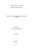 LIMITANTE PARA EL DESARROLLO ORGANIZACIONAL EN LAS MIPYME