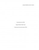 Características de un ERP