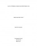 NÜRNBERG AUGSBURG MASCHINENWERKE (NAM)