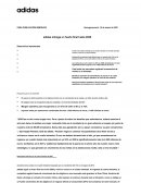 ESTADOS FINACIEROS ADIDAS