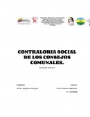 CONTRALORIA SOCIAL DE LOS CONSEJOS COMUNALES. ANALISIS CRITICO