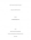 Informe Creación de Contenidos Comunicativos