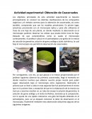 Actividad Experimental de los Coacervados