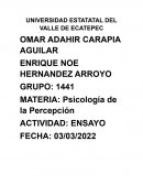 EL PERFIL DEL HOMBRE Y LA CULTURA EN MÉXICO