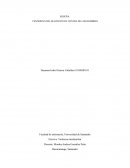 RESEÑA: FENÓMENO DEL MALTRATO EN CONTRA DE LOS HOMBRES
