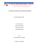 CONTADURÍA PUBLICA IIIB